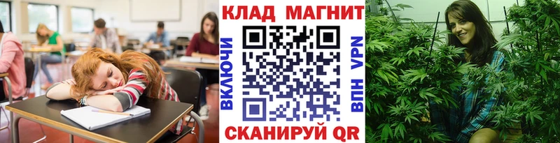 А ПВП Ельня