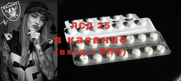 крисы Бородино