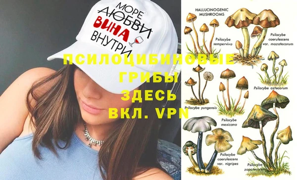бошки Верхний Тагил
