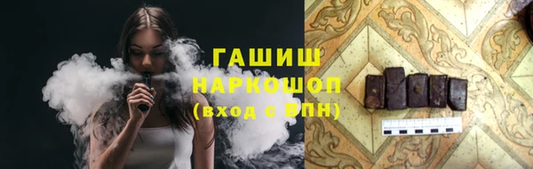 крисы Бородино