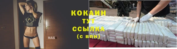 бошки Верея