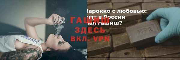 крисы Бородино
