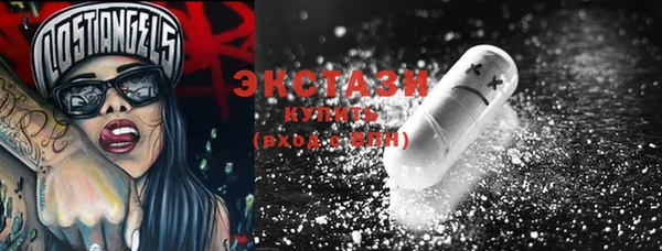 крисы Бородино