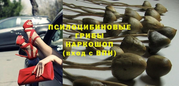 крисы Бородино