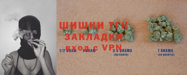 крисы Бородино