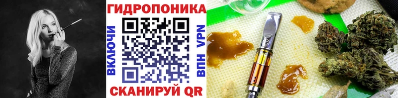 МАРИХУАНА планчик  купить наркотики сайты  Ельня 
